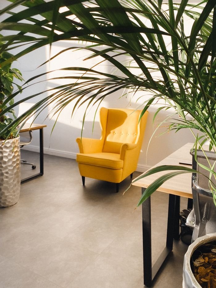 Potted green plants placed near modern wooden tables and cozy yellow armchair located near white wall in sunlight